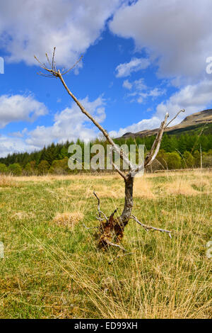 Il superbo scenario guardando giù Glen Orchy nelle Highlands della Scozia Foto Stock