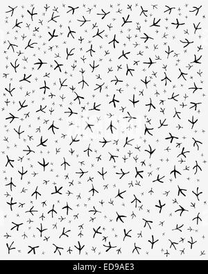 traccia di uccelli Foto Stock