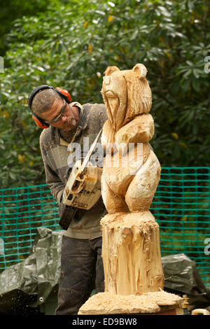 Intagliatore di legno carving un orso fuori del tronco di un albero con una sega a nastro Foto Stock