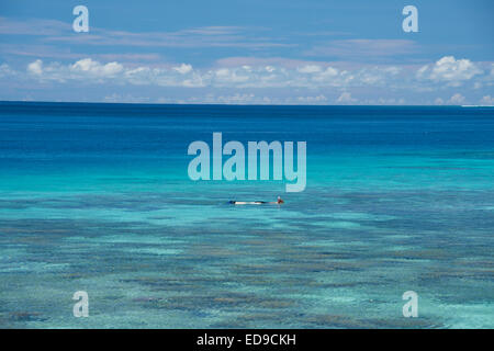 La Melanesia, Isole Salomone, Isola di Santa Cruz, gruppo Malo isola. Snorkeling in chiaro baia poco profonde lungo la barriera corallina. Foto Stock