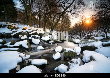 Il sole al tramonto proietta una luce calda sulla neve a Padley Gorge, Hope Valley. Foto Stock