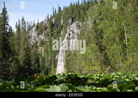 Scogliere sulle rive del fiume. Foresta vergine di Komi, taiga nella cresta Chernyshov. Foto Stock