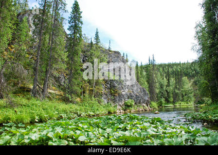 Rocce sul fiume Big Sarjuga. Foresta vergine di Komi, taiga nella cresta Chernyshov. Foto Stock