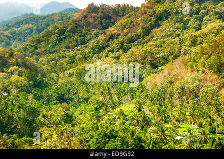 Paesaggio PAESAGGIO tra le città di Maumere e Moni sull isola di Flores, Indonesia. Foto Stock