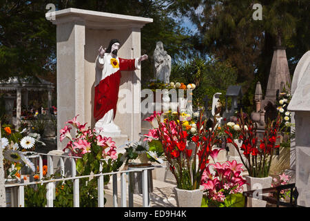 Le tombe sono ricoperti di fiori freschi di benvenuto cari torna a terra durante il giorno dei morti - San Miguel De Allende, MEXIC Foto Stock