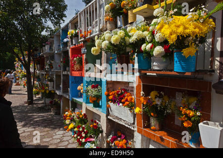 Le tombe sono ricoperti di fiori freschi di benvenuto cari torna a terra durante il giorno dei morti - San Miguel De Allende, MEXIC Foto Stock