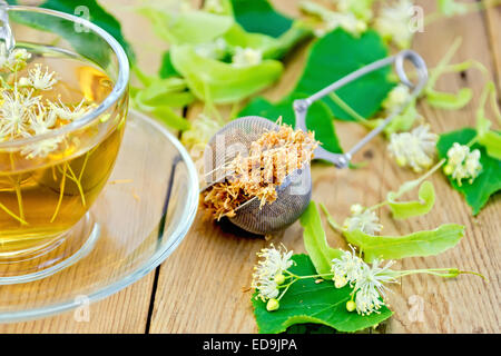 Tisana di fiori di tiglio nel filtro con tazza Foto Stock