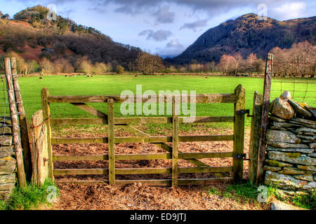 Rosthwaite, Borrowdale nel Parco Nazionale del Distretto dei Laghi, Cumbria Foto Stock