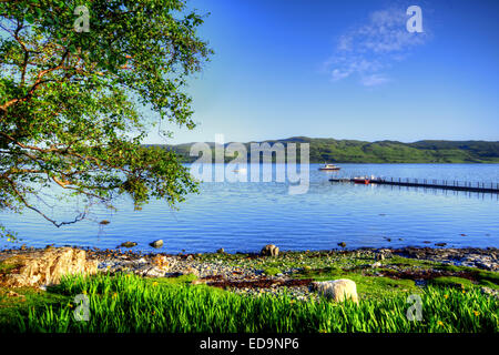 Loch na Keal sull'Isle of Mull, Scozia Foto Stock