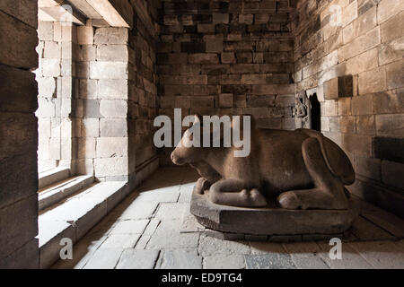 Statua di Nandi il toro di Prambanan, un 9th-secolo tempio indù vicino a Yogyakarta in Java centrale, Indonesia. Foto Stock