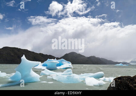 Iceberg e formazioni di ghiaccio sul lago di grigio nel Parco Nazionale Torres del Paine Foto Stock