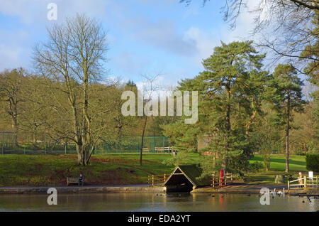 La piscina a Lickey Hills Country Park, Worcestershire, England, Regno Unito Foto Stock