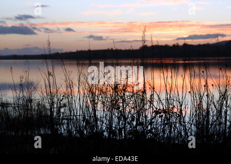 Lochwinnoch, Renfrewshire, Scozia, Regno Unito, Sabato, 3 gennaio, 2015. Tramonto su Barr Loch dopo una giornata fredda ma soleggiata Foto Stock