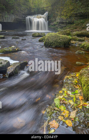 Il famoso West Burton cade, mostrando caduto foglie di autunno, Yorkshire Dales. Foto Stock