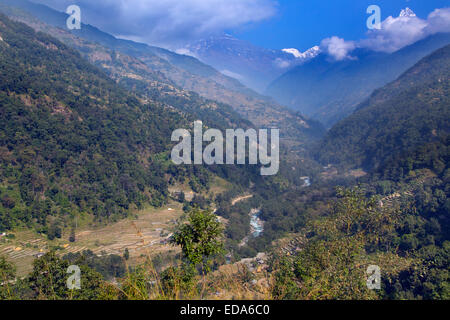 Agricoltura vicino al villaggio di montagna di Ghandruk nei modi Khola valle a circa 2000 metri di Annapurna in background Foto Stock