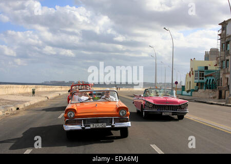 I turisti che viaggiano in classic epoca decappottabili lungo il Malecon a l'Avana, Cuba Foto Stock