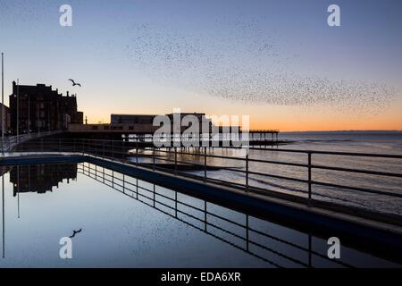 Un murmuration di storni sul molo a Aberystwyth con una riflessione sulla passeggiata piscinetta per bambini Foto Stock