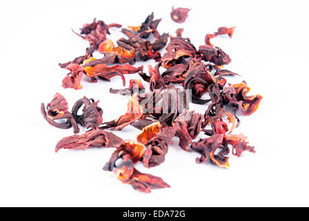 Hibiscus sabdariffa in sfondo bianco Foto Stock