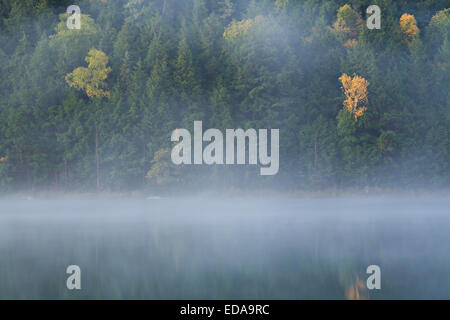 Nebbia mattutina sul Lago di grotta in Killarney Provincial Park. In Ontario, Canada. Foto Stock