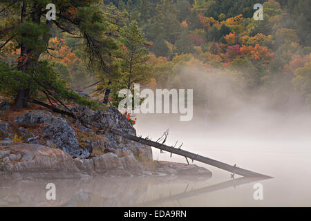 Nebbia mattutina sul Lago di grotta in Killarney Provincial Park. In Ontario, Canada. Foto Stock