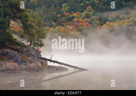 Nebbia mattutina sul Lago di grotta in Killarney Provincial Park. In Ontario, Canada. Foto Stock