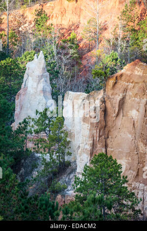 I variegati colori delle pinne e delle guglie di argilla contrastano con il fogliame circostante nel Providence Canyon State Park in Georgia. (USA) Foto Stock