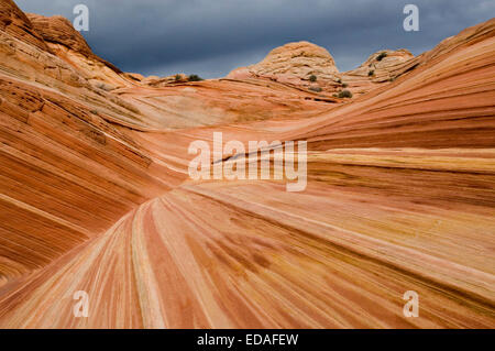 L'onda taglia attraverso una montagna di arenaria in Coyote Buttes area del Paria Canyon-Vermillion scogliere deserto dello Utah. Foto Stock