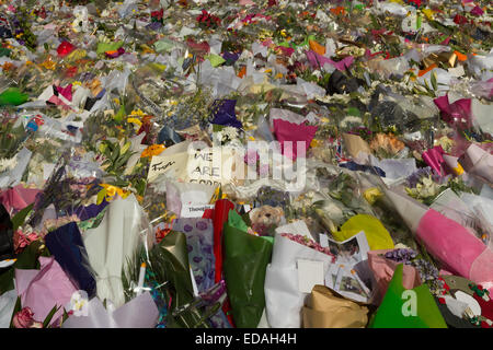 Una fotografia di fiori posti a Martin Place dopo l'Assedio di Sydney nel dicembre 2014. Foto Stock