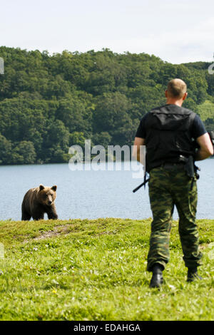 L'orso bruno (Ursus arctos) e ranger nel lago di Kurile, penisola di Kamchatka, Russia. Foto Stock