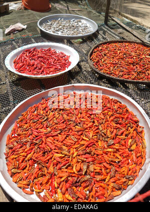 Patè di Peperoncini ripieni e pesci secchi su piastre zingari del mare, Koh Lanta, Krabi, Thailandia, Sud-est asiatico. Foto Stock