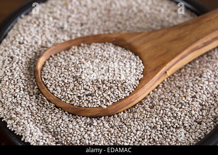 Healthy White Semi di chia nella ciotola con il cucchiaio di legno. Foto Stock