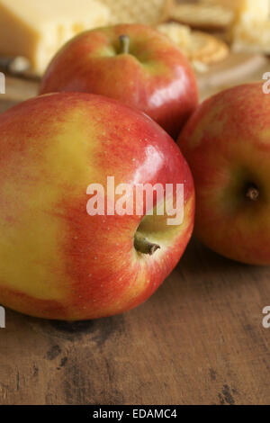 Jazz mele o cultivar Malus domestica Scifresh un ibrido di Royal Gala e Braeburn sviluppato in Nuova Zelanda Foto Stock