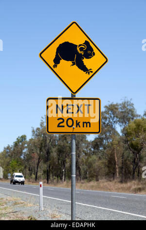 Segnale di avvertimento per il koala nel Queensland Foto Stock