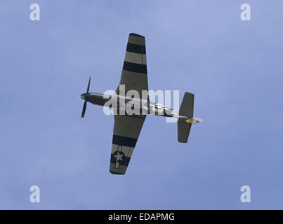 Mustang P-51 Foto Stock