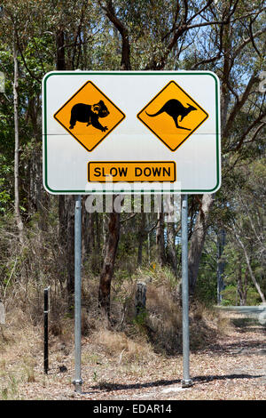 Segnale di avvertimento per i canguri e koala in Queensland Foto Stock