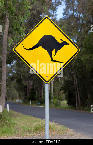 Segnale di avvertimento per kangaroo in Victoria, Australia Foto Stock