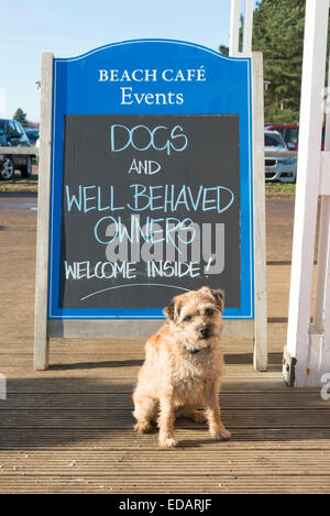 Wells-Next Mare, Norfolk, Regno Unito. 4 gennaio 2015. Un terrier cane gode di un riposo dopo una passeggiata sulla spiaggia in una fredda ma soleggiata giornata. Dopo una notte di gelo il tempo rimasto freddo e croccante. Credito Eales Julian/Alamy Live News Foto Stock