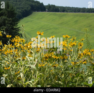 Barche Quabbin in inverno, Quabbin serbatoio Foto Stock