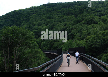 Grande Passaggio di Allegheny Bike Trail Rail bridge Pennsylvania Foto Stock
