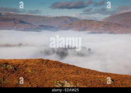 Nebbia bassa su Outgate e Skelwith, con timone roccioso nella distanza, Lake District, Cumbria Foto Stock