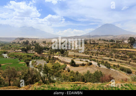 Arido paesaggio con pre-Inca e terrazze Incas, Rio Colca Valley da Colca Lodge Hotel con El Misti vulcano, Canyon del Colca, Yanque, Arequipa, Perù Foto Stock
