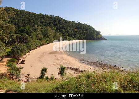 Spiaggia deserta, giungla, la foresta pluviale di Koh Lanta, Mu Ko Lanta National Park, Thailandia. Asia. Foto Stock