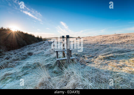 Un pupazzo di neve con stile in legno su un inverno mattina su Bodmin Moor in Cornovaglia Foto Stock