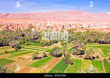 Oasi nella valle di dade in Marocco Foto Stock