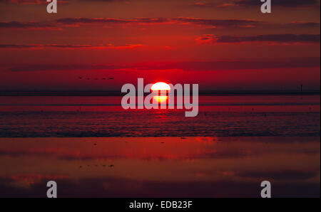 Tramonto sul mare di Wadden Foto Stock