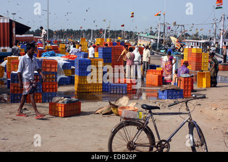 Il porto e il mercato del pesce, Malpe, Karnataka, India Foto Stock