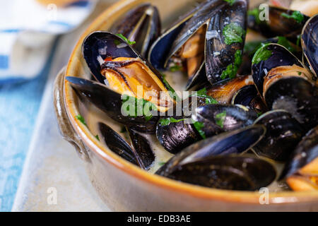 Ciotola di mussles cotti al vapore Foto Stock