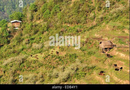 Paesaggio, Trongsa, Bhutan Foto Stock