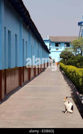 Gandhiji Prem Nivas( lebbrosario), istituito da Madre Teresa e gestita dalle Missionarie della Carità in Titagarh, India Foto Stock