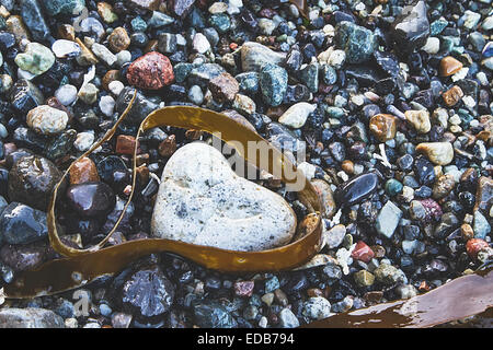 Cuore rock sulla spiaggia con bordo kelp Foto Stock